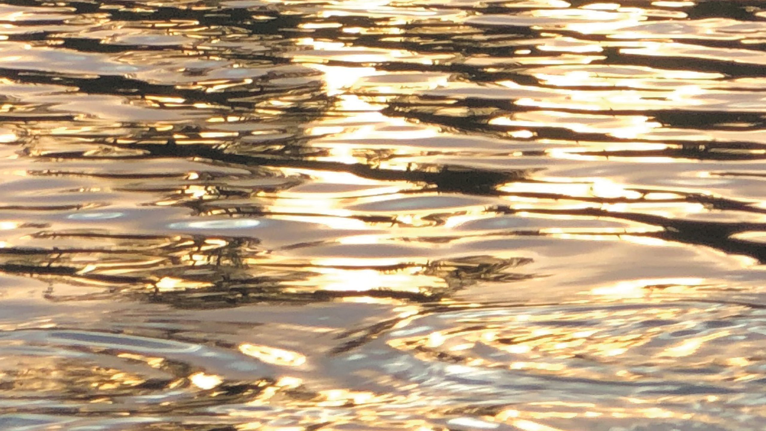 2025_Header_S°Z_gg_016